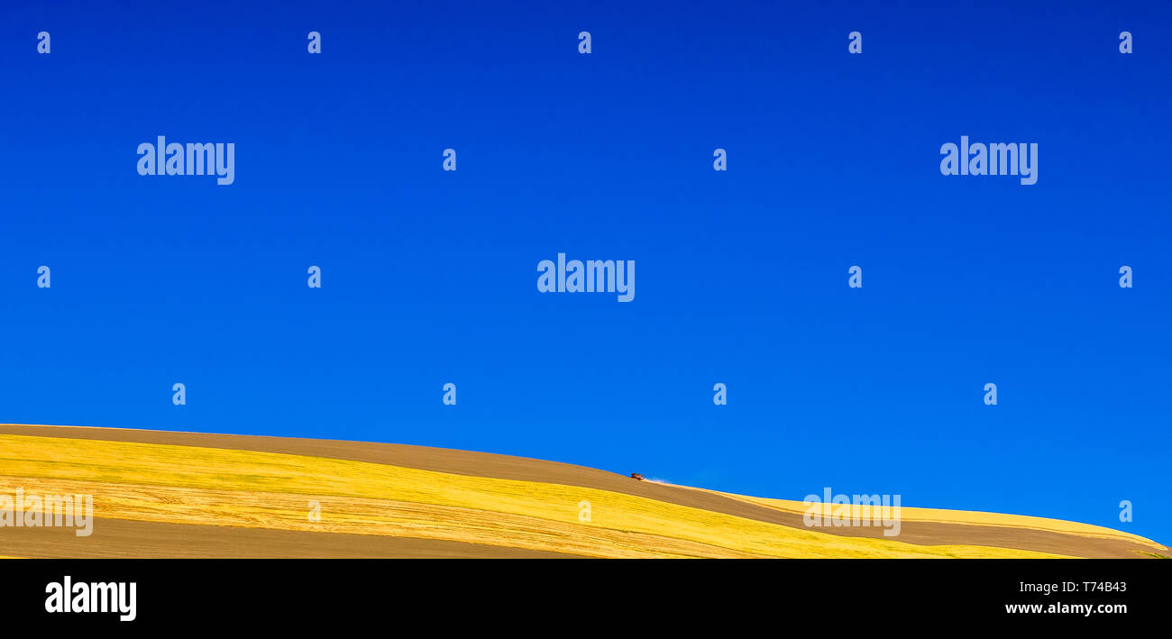 Le tracteur au loin sur un champ de blé doré avec horizon et ciel bleu ; la Palouse, Washington, États-Unis d'Amérique Banque D'Images