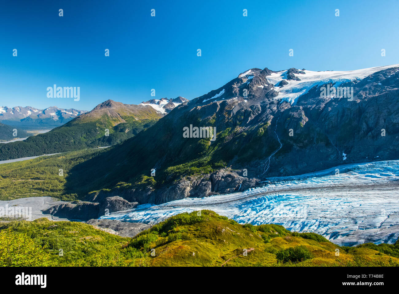 Kenai Fjords National Park vu de la Harding Icefield Trail avec Exit Glacier dans l'arrière-plan sur une journée ensoleillée Banque D'Images
