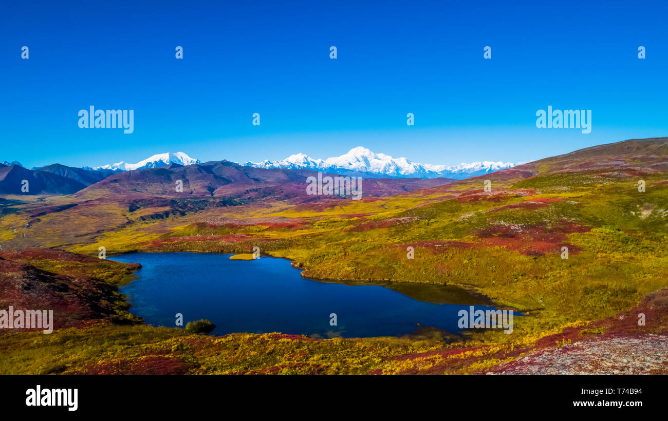 Le Parc National Denali, en conservant comme vu de Peters Hills avec 20320' mont Denali, officiellement connu comme le mont McKinley, et la chaîne de l'Alaska Banque D'Images