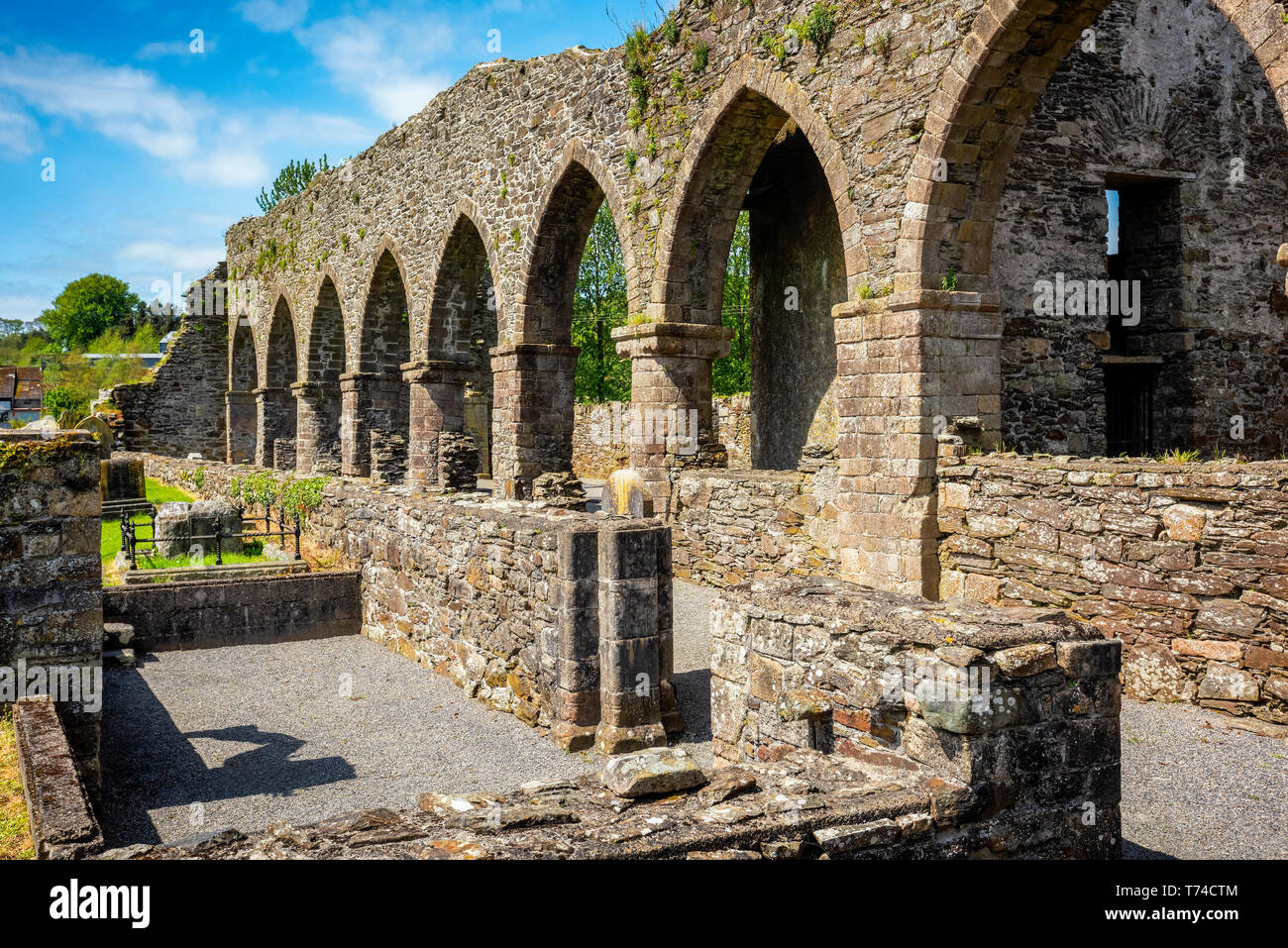 Baltinglass Abbey ; Baltinglass, comté de Wicklow, Irlande Banque D'Images