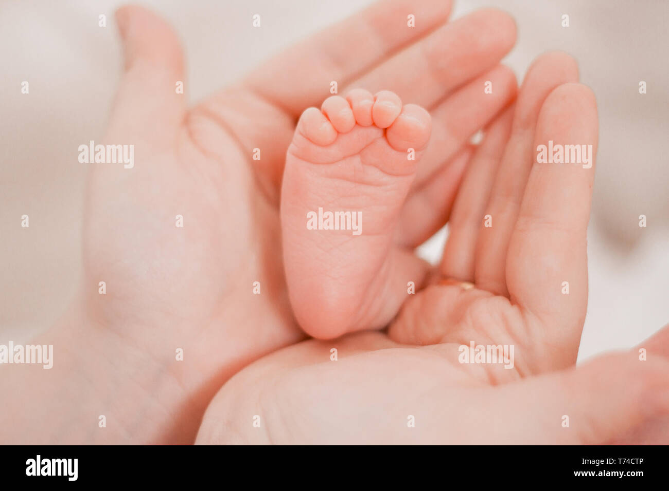 La Grossesse La Maternite La Preparation Et L Attente De La Maternite L Accouchement Concept Bebe Nouveau Ne De Mere Mains Pieds Libre Photo Stock Alamy