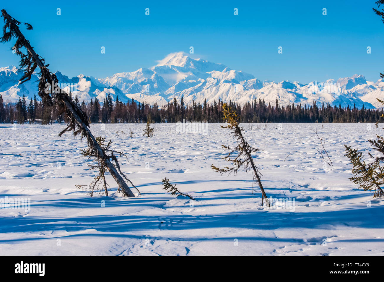 Des 20 320 mont Denali, anciennement connu sous le mont McKinley, est vu de la piste de motoneige Chulitna sur une claire journée d'hiver ensoleillée dans le centre-sud de l'Alaska Banque D'Images