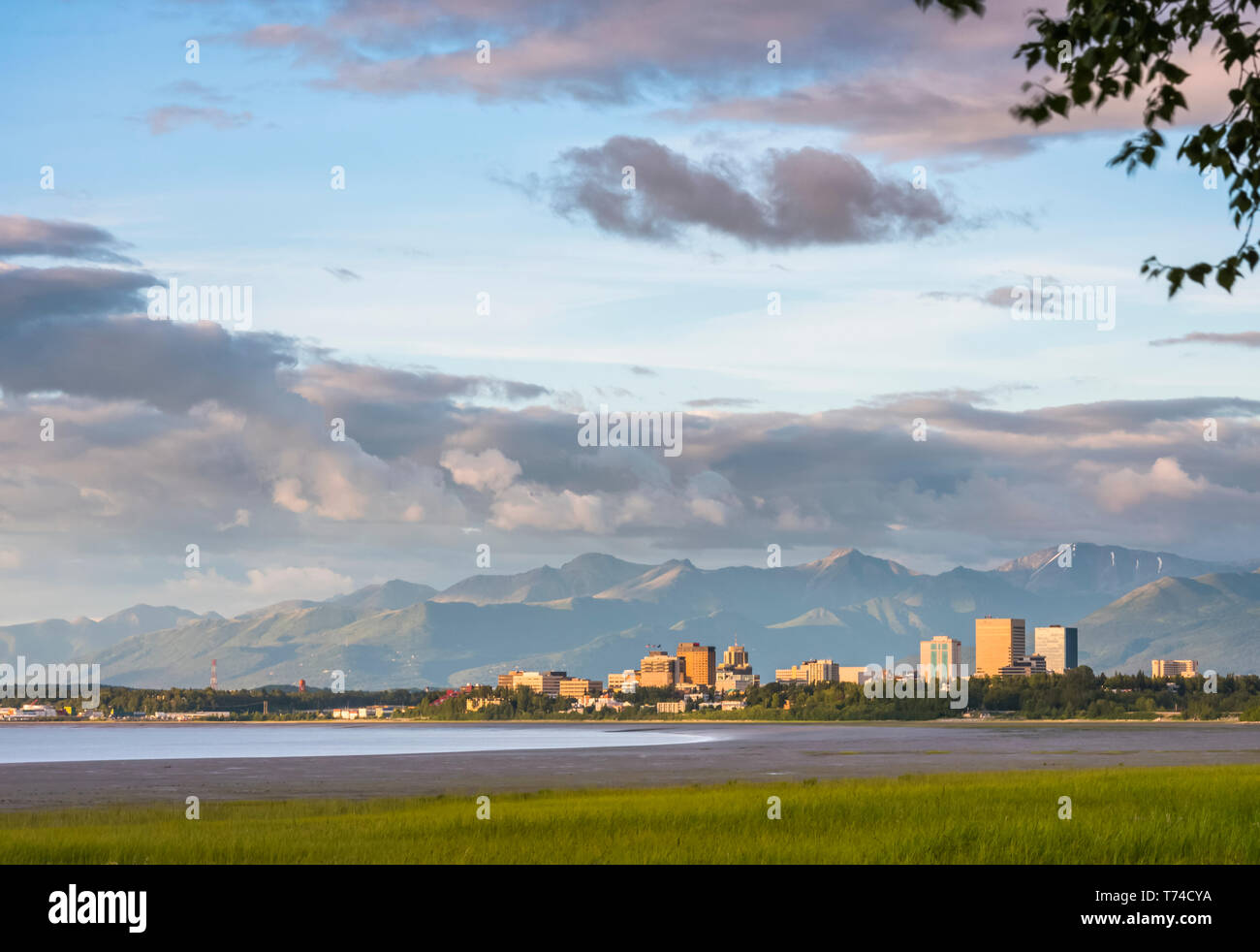 La ville d'Anchorage tremblement de parc sur une journée d'été dans le centre-sud de l'Alaska Banque D'Images