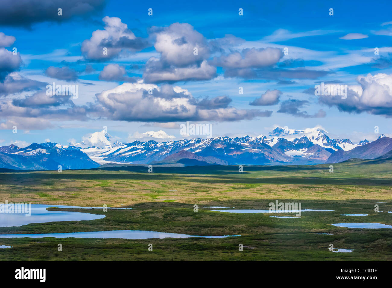 La chaîne de l'Alaska, dont le Mont Hays et les Maclaren Ridge, dans le centre-sud de l'Alaska sur une journée ensoleillée ; Alaska, États-Unis d'Amérique Banque D'Images