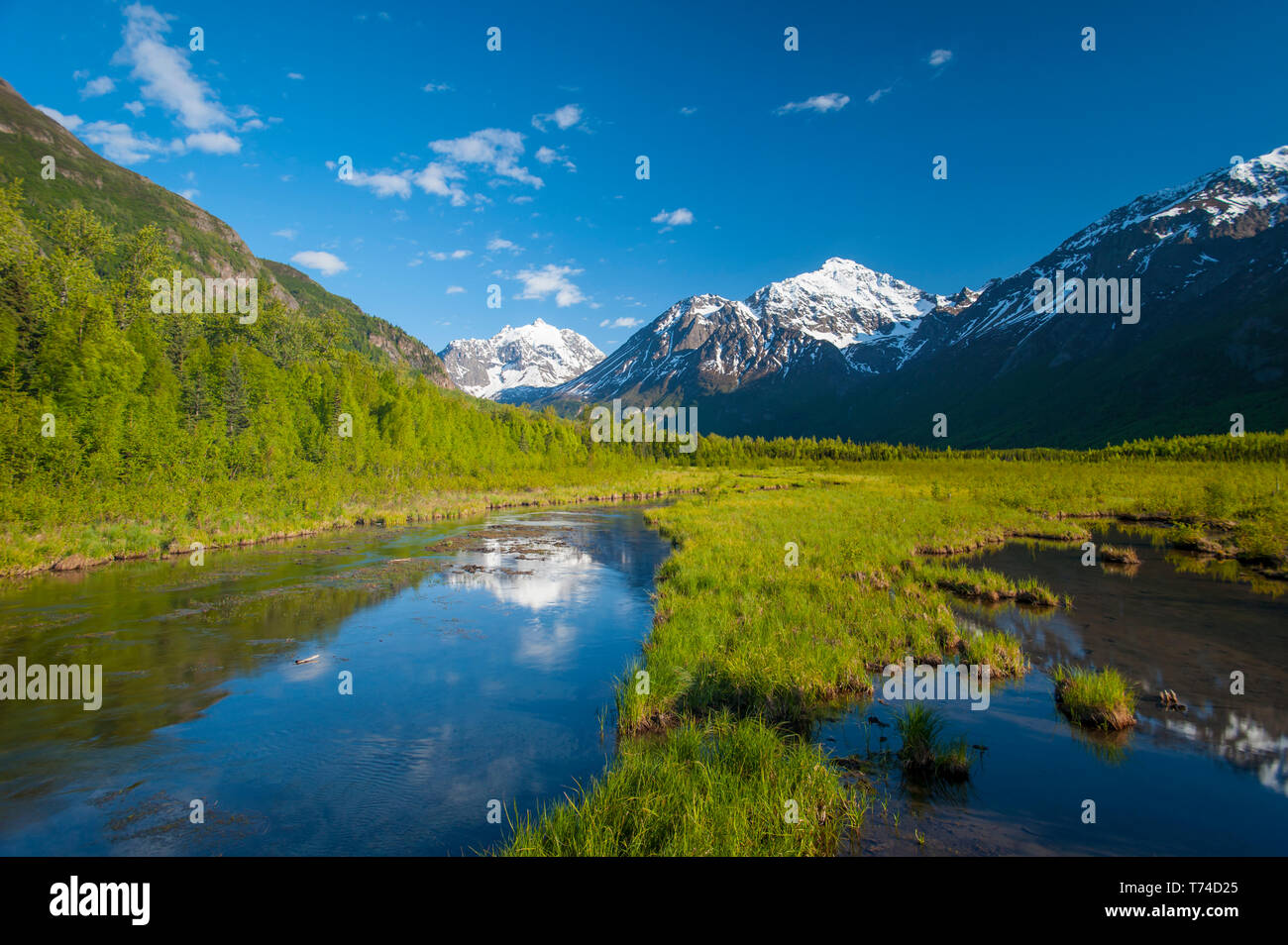Un paysage d'une vallée de montagne dans la région de Eagle River sur une chaude après-midi d'été dans le centre-sud de l'Alaska ; Alaska, États-Unis d'Amérique Banque D'Images