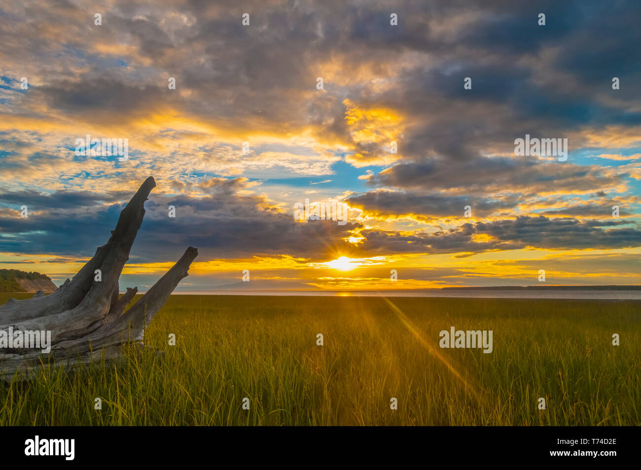 Le soleil se couche sur Cook Inlet sur une nuit d'été vus de tremblement Park près d'Anchorage, Alaska, États-Unis d'Amérique Banque D'Images