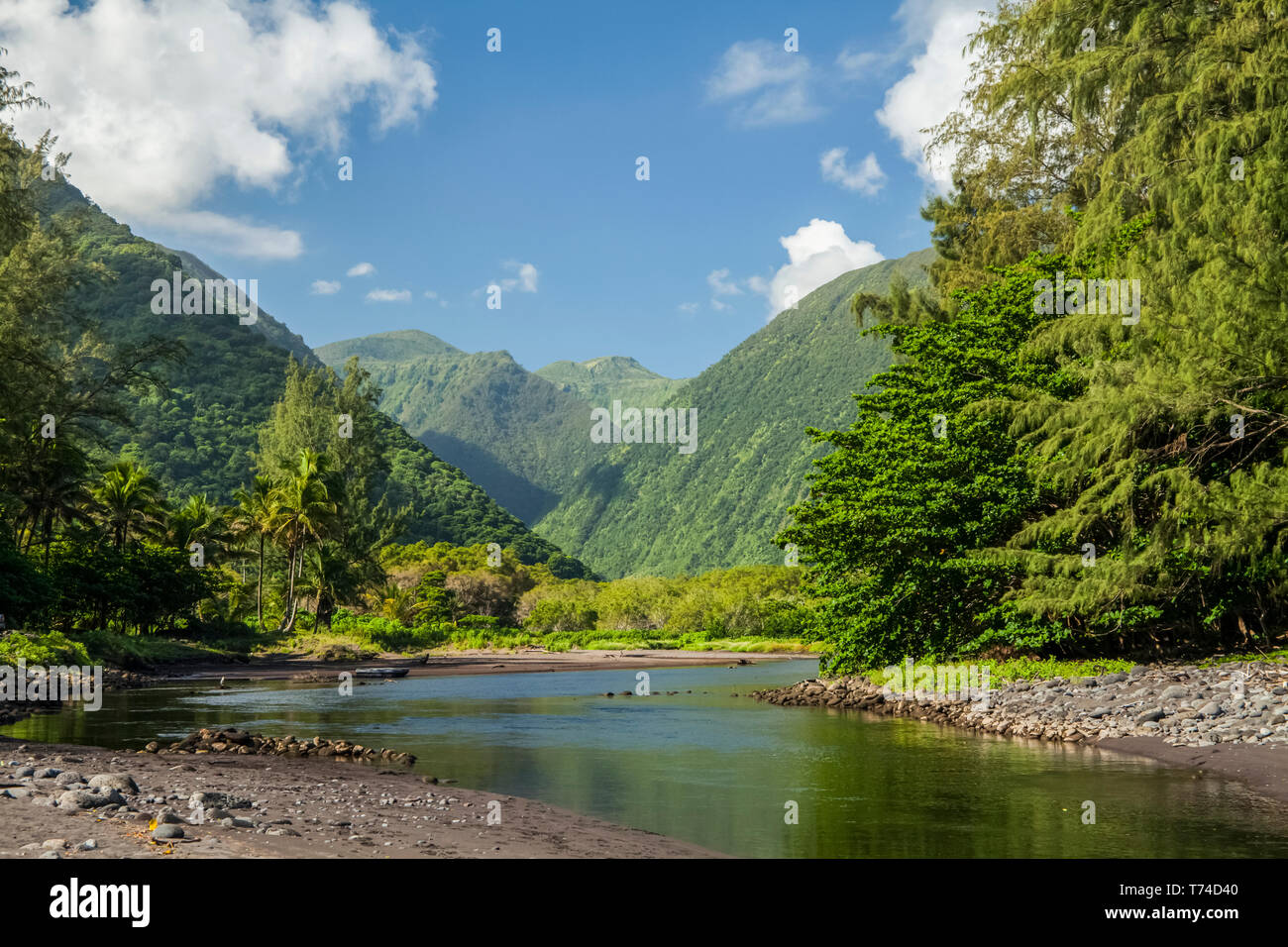 Vallée Waipio et ruisseau, Hamakua Coast, près de Honokaa ; île de Hawaii, Hawaii, United States of America Banque D'Images