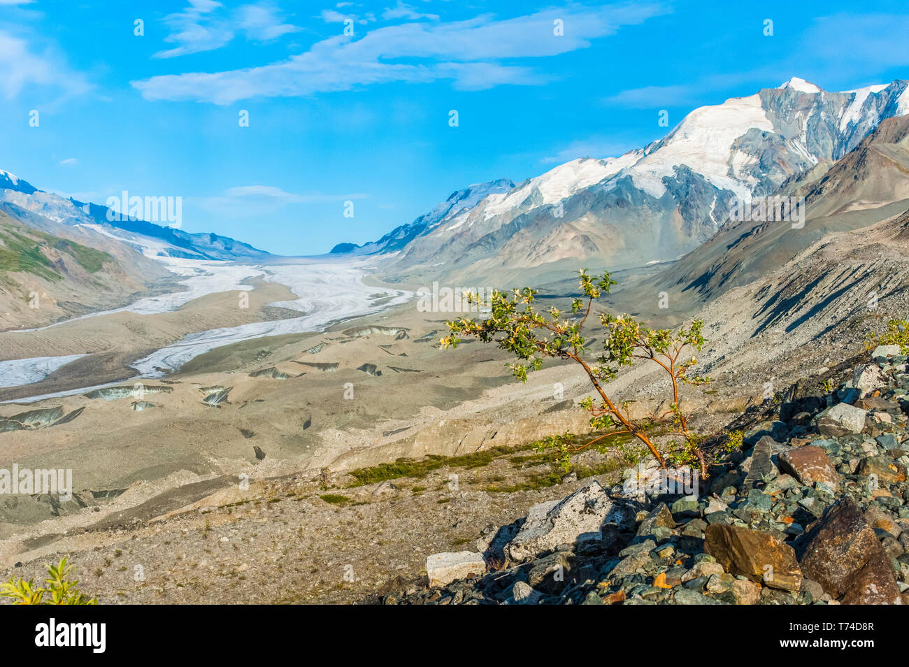 Red Rock Canyon Trail dans l'Est de l'Alaska sur une chaude journée d'été ensoleillée, avec Canwell Glacier est dans l'arrière-plan Banque D'Images