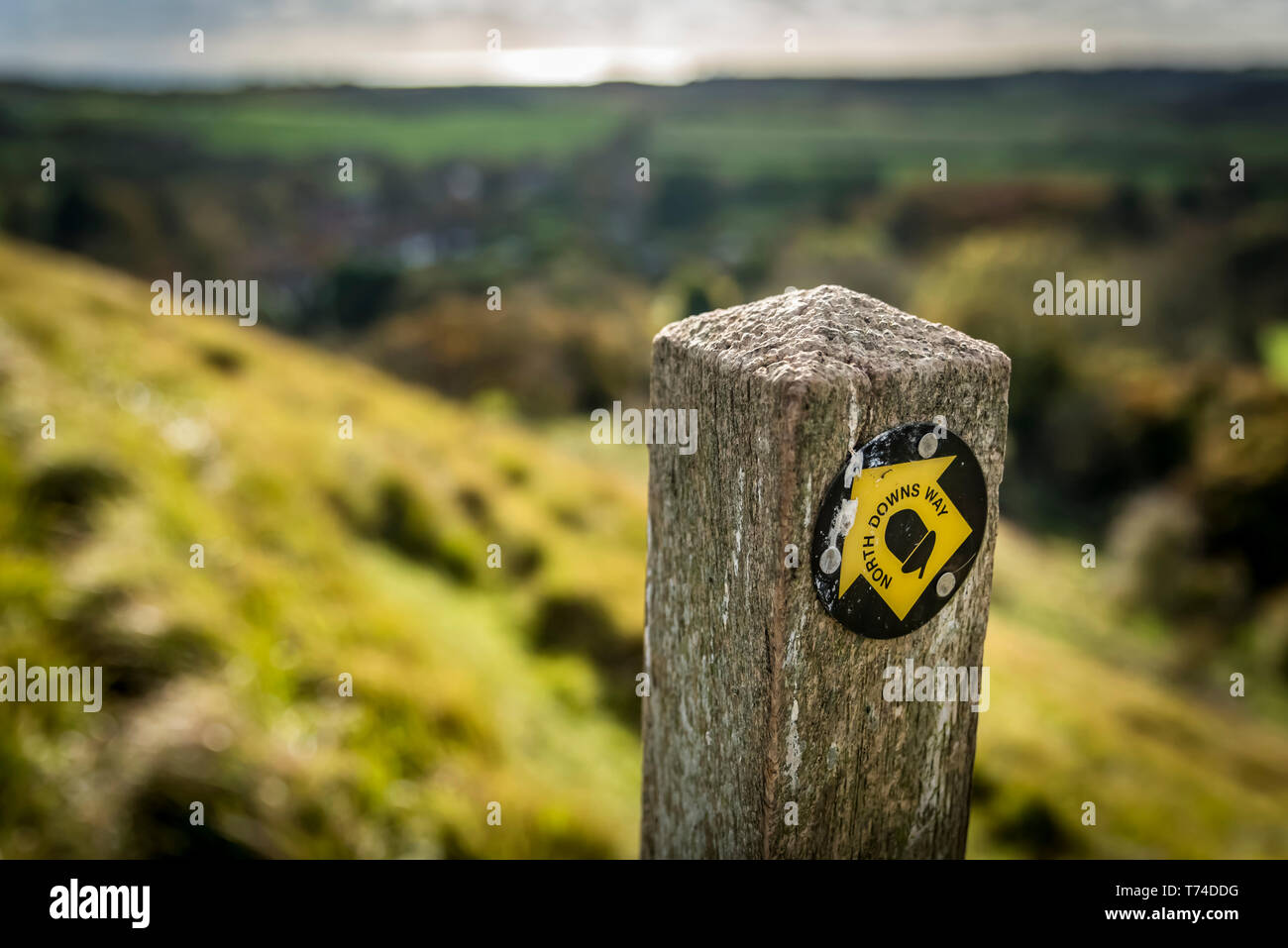 Inscrivez-Trail, North Downs Way, le sud de l'Angleterre ; Kent, Angleterre Banque D'Images