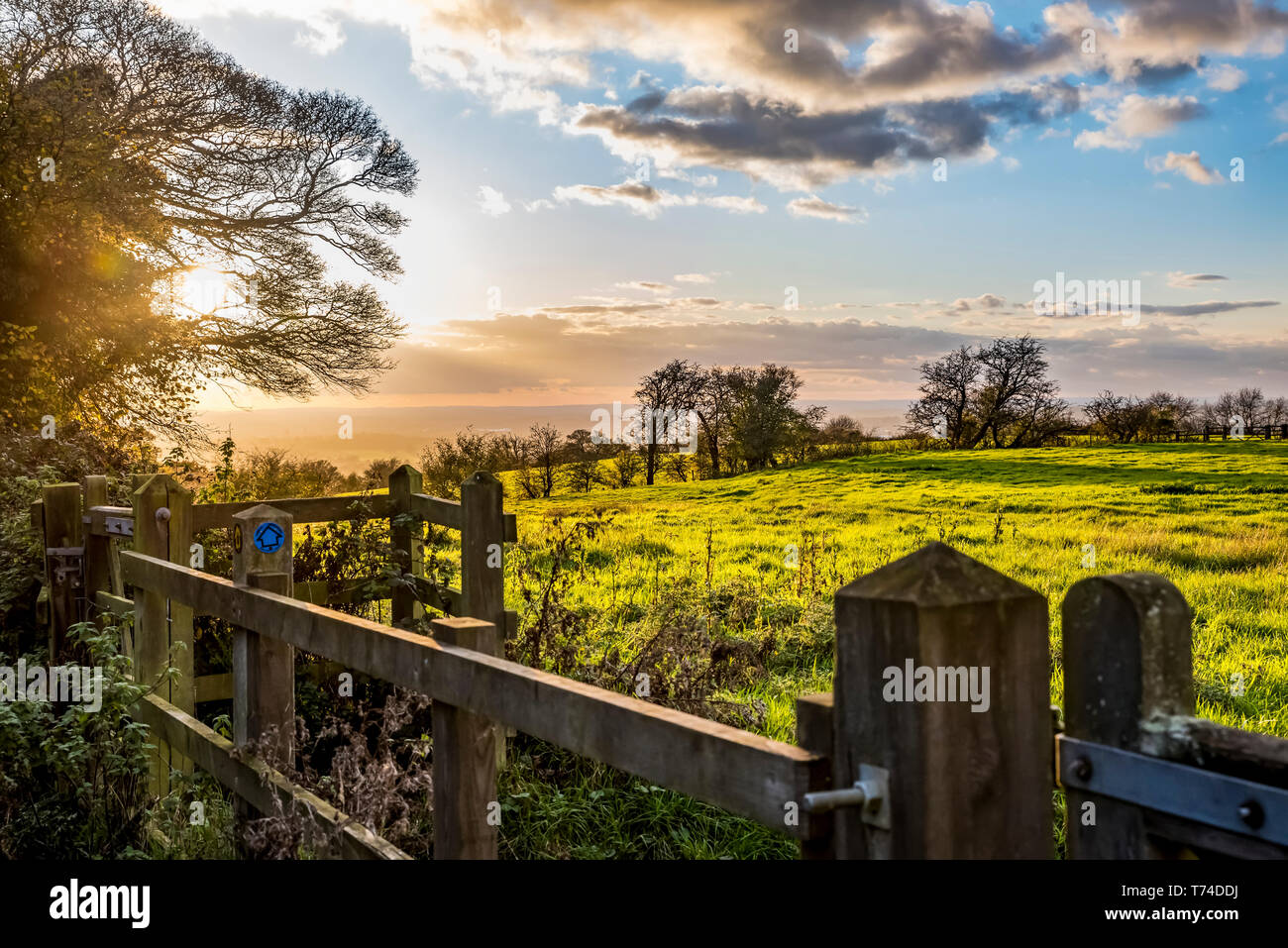 Coucher du soleil sur le North Downs Way, le sud de l'Angleterre ; Kent, Angleterre ; Kent, Angleterre Banque D'Images