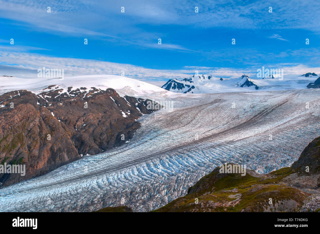 Harding Icefield Trail avec Exit Glacier dans l'arrière-plan, Kenai Fjords National Park, péninsule de Kenai, le centre-sud de l'Alaska Banque D'Images