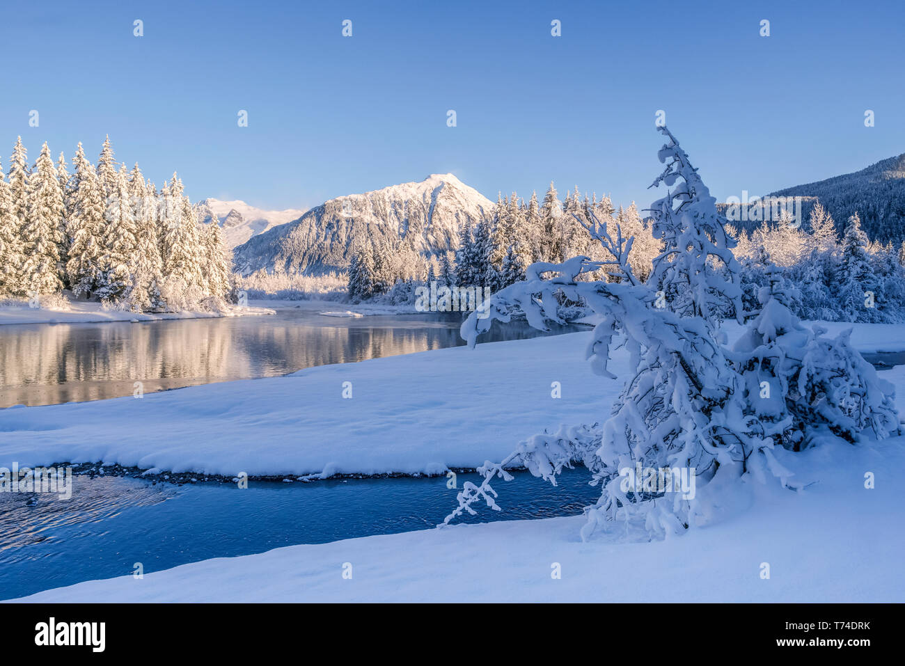 Après-midi d'hiver le long de la rive de la rivière Mendenhall, la Forêt Nationale Tongass, Juneau, Alaska, United States of America Banque D'Images