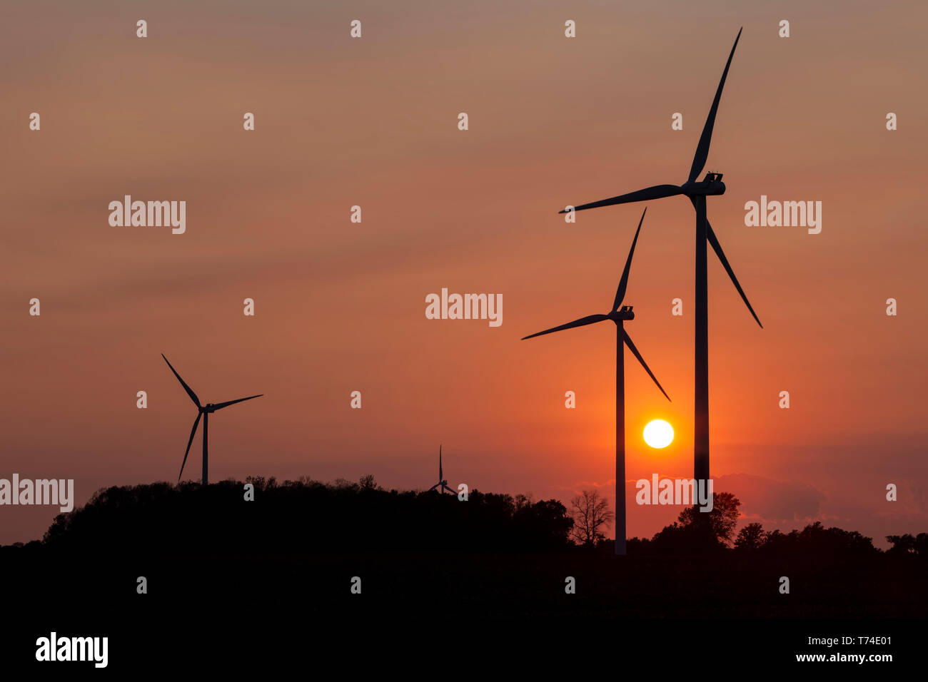 Éoliennes au coucher du soleil ; de Nanticoke (Ontario), Canada Banque D'Images