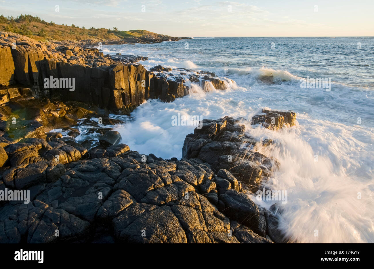 Falaises de basalte, Dartmouth Point, baie de Fundy ; Long Island, Nova Scotia, Canada Banque D'Images