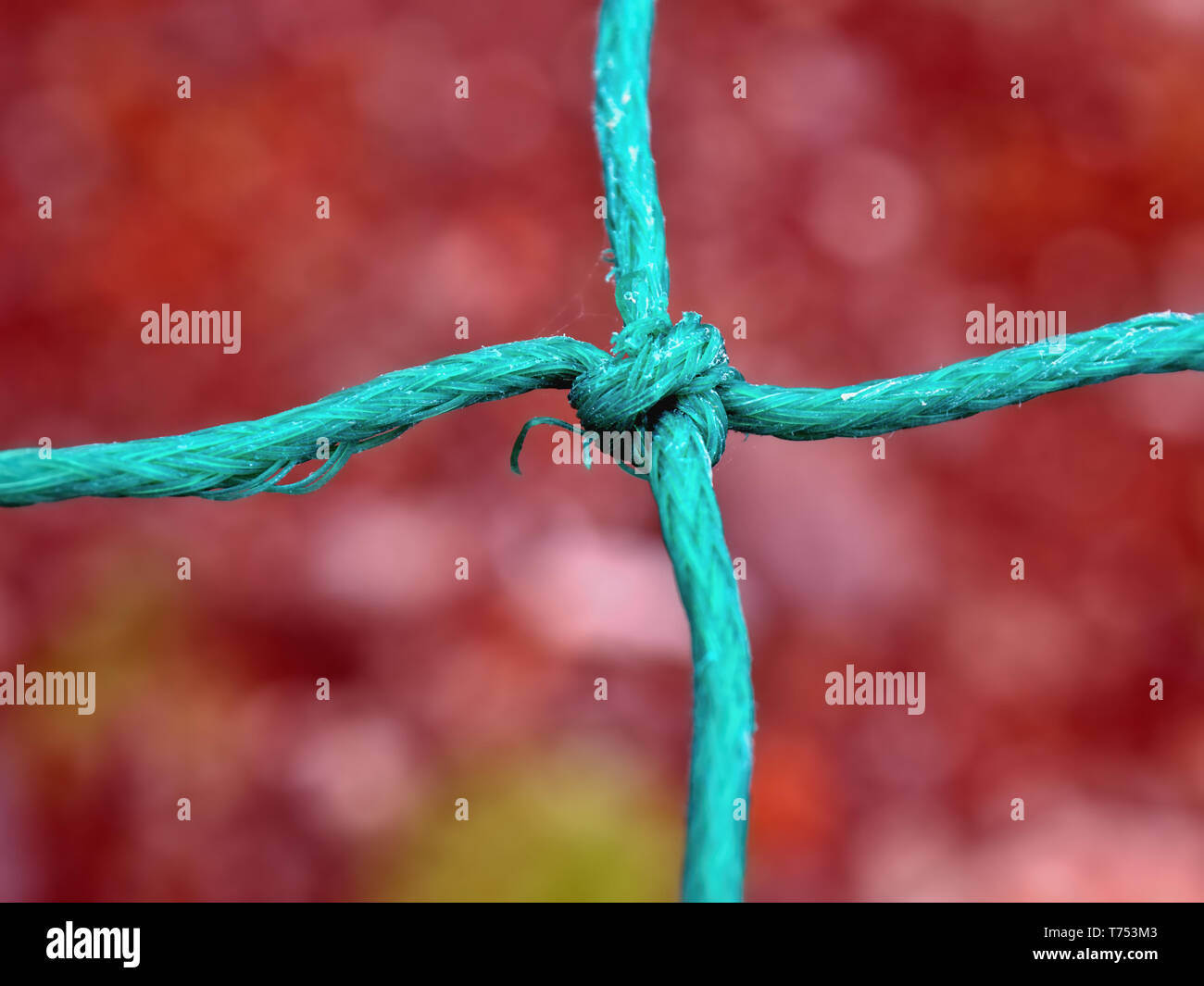 Une corde verte ou une corde avec un trou du milieu, lié comme un filet pour un poisson piège. En close-up, la matière est faite de fils synthétiques, l'arrière-plan est mou Banque D'Images