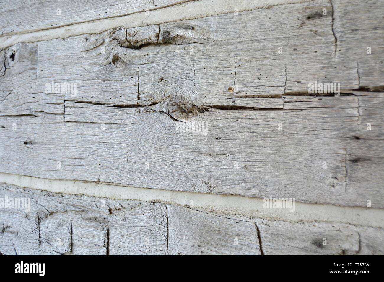 Old Grey Log Cabin avec Boucher Banque D'Images