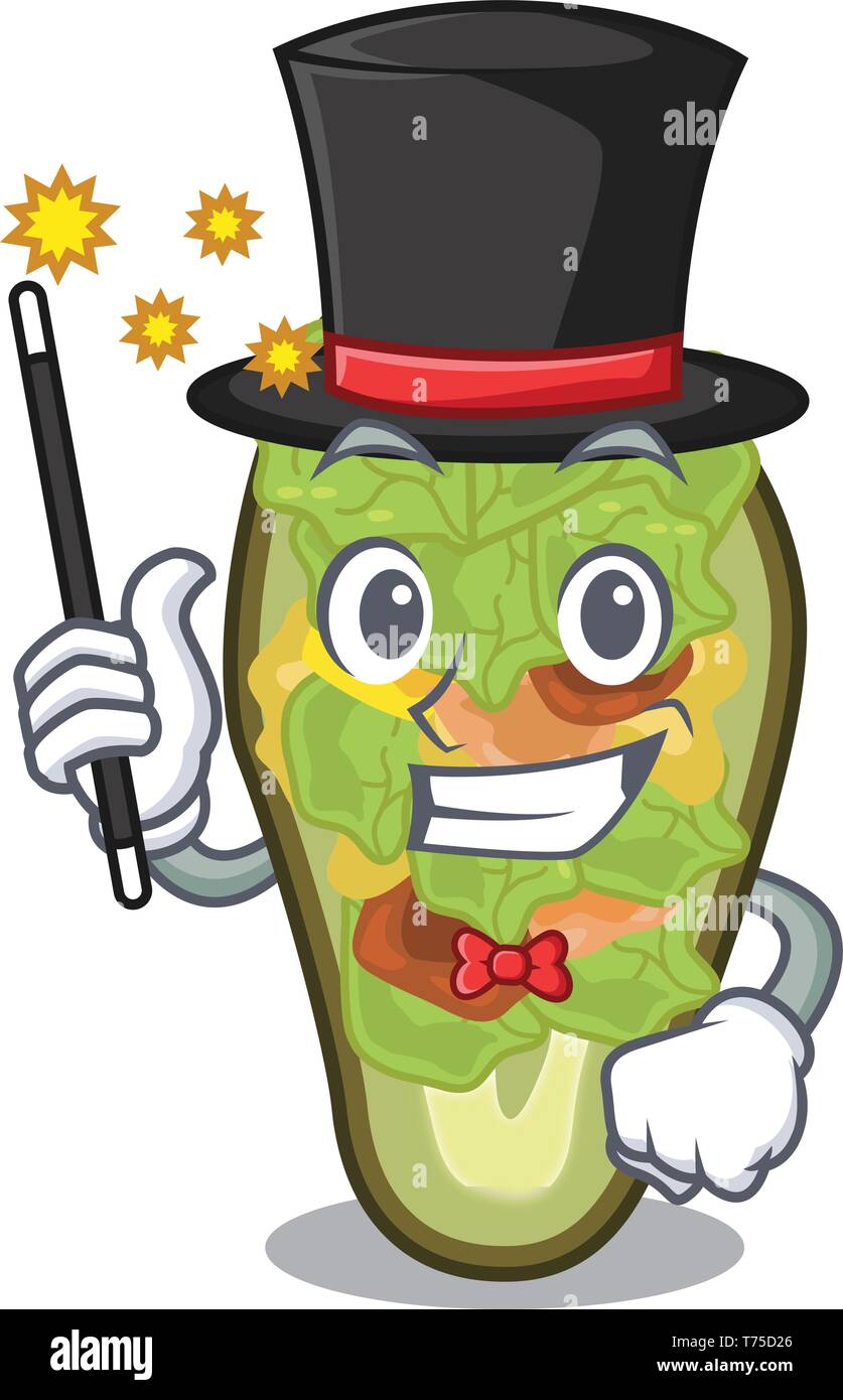 Magicien avocat farci Dans la Mascot forme Illustration de Vecteur