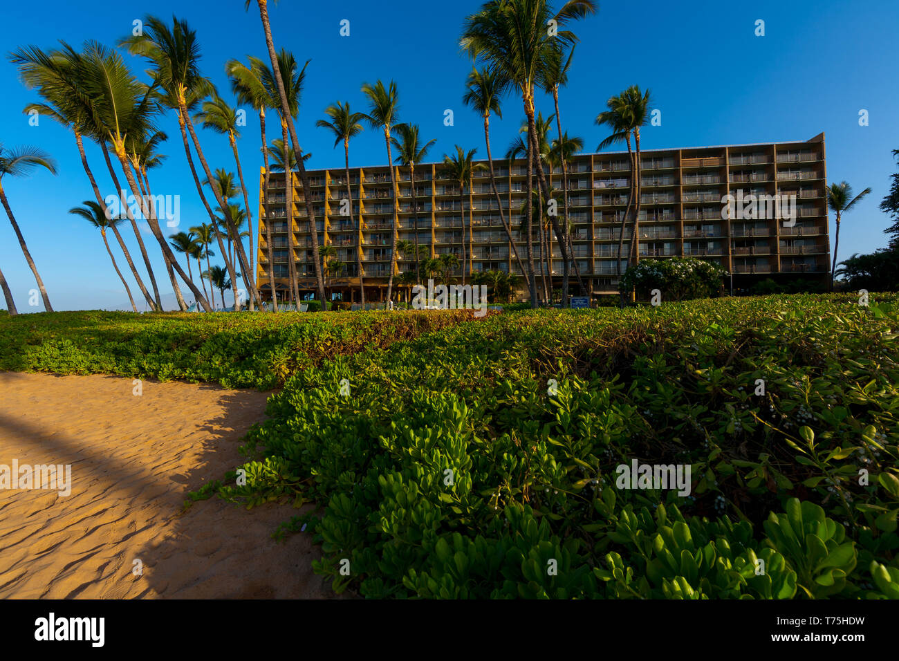 Situé sur la rive sud-ouest de Maui, le mana Kai Maui Resort se trouve sur la plage avec chaque chambre ayant un océan, coucher de soleil sur cette belle journée. Banque D'Images