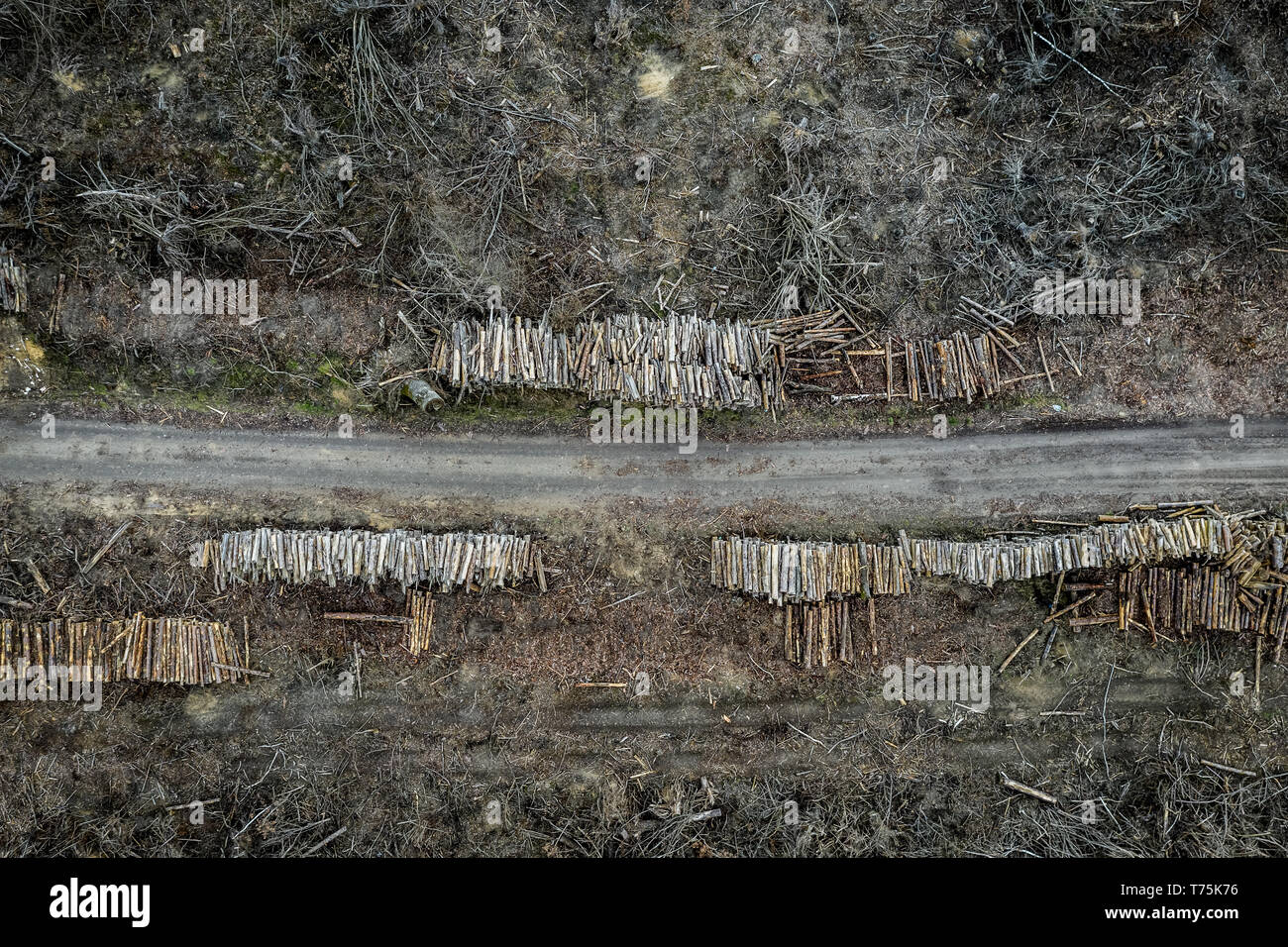 Volant au-dessus de la déforestation, l'exploitation forestière, l'horrible destruction de l'environnement Banque D'Images