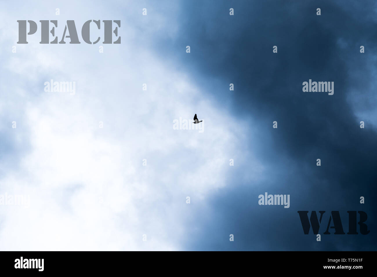 Concept de la guerre et de la paix Banque D'Images