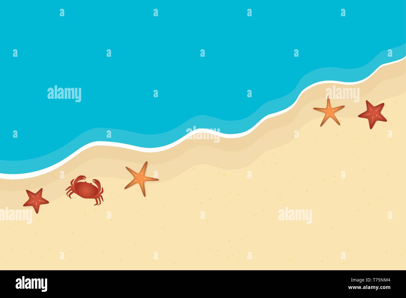 Plage et l'océan des vacances d'arrière-plan avec les étoiles de mer et le crabe illustration vecteur EPS10 Illustration de Vecteur