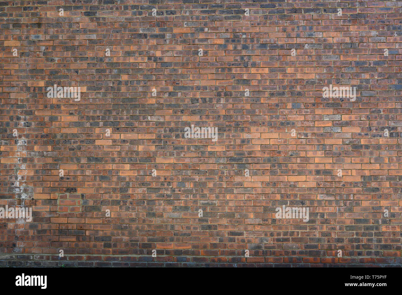 Un mur de briques dans le nord de Londres Banque D'Images