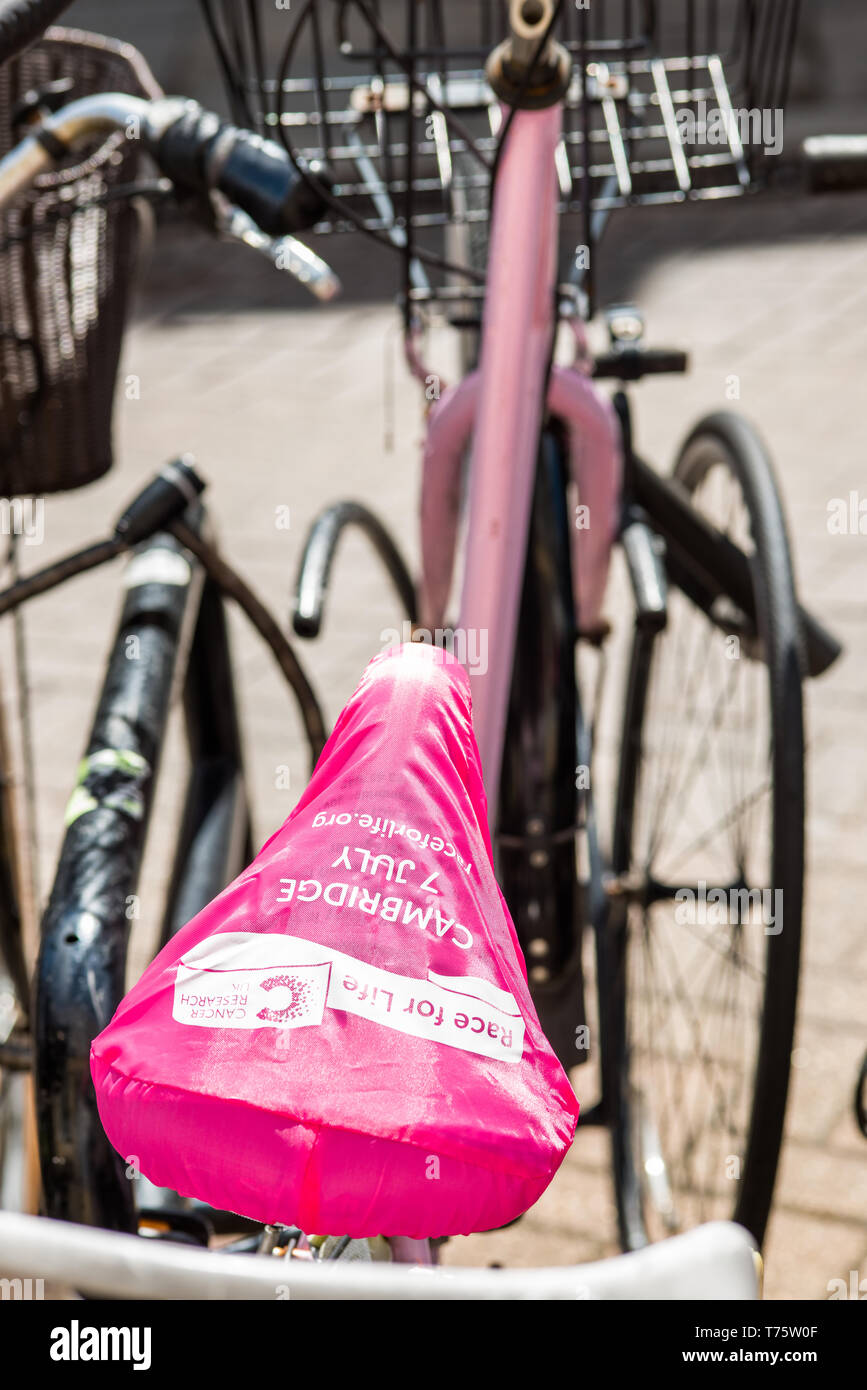 Location de sièges avec la race pour la vie couvre par le Cancer Research à Cambridge, Angleterre, Royaume-Uni. Banque D'Images Location de sièges avec la race pour la vie couvre par le Cancer Research à Cambridge, Angleterre, Royaume-Uni. Banque D'Images