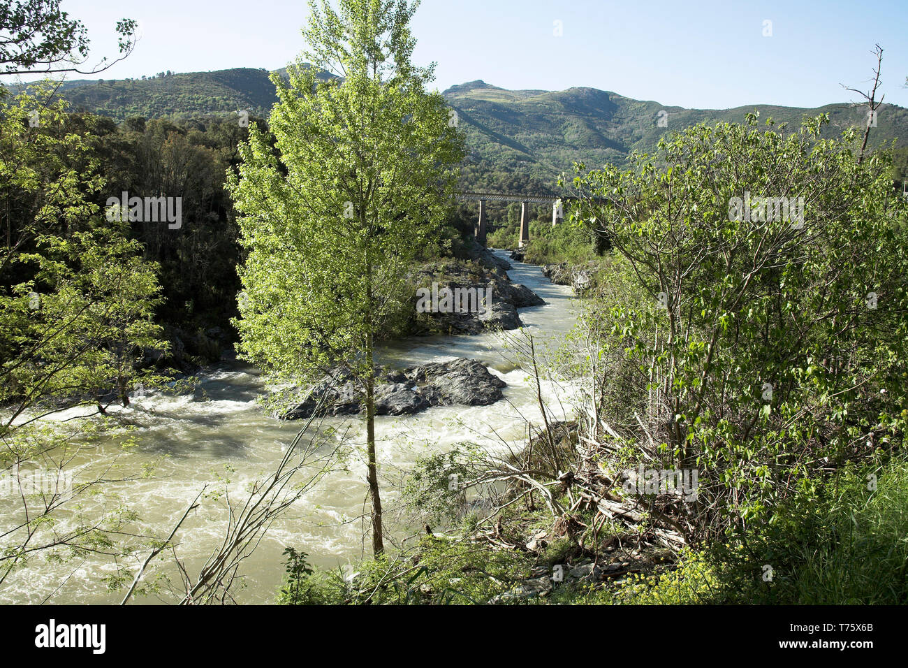 La rivière Golo de revenir à des niveaux normaux après une inondation Corse France Banque D'Images
