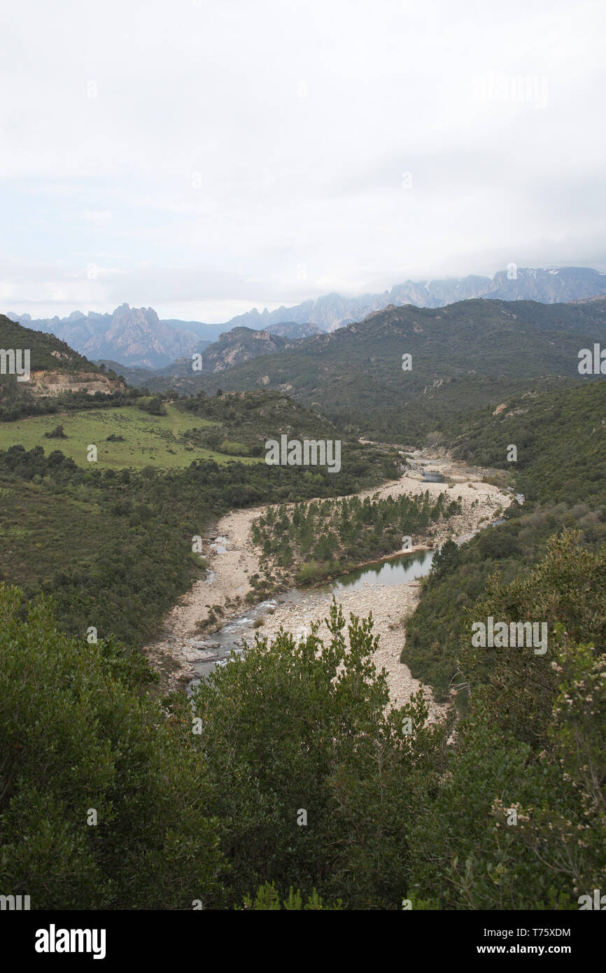 Rivière Solenzara Parc Naturel Régional de Corse Corse France Banque D'Images