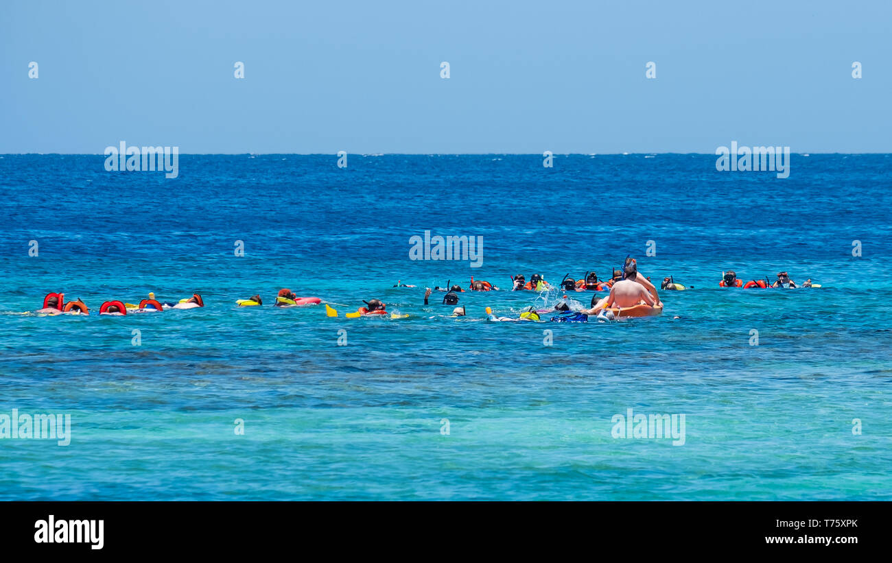 Roatan est une destination très populaire pour la plongée et la plongée avec tuba. Ici un groupe tubas à West Bay Honduras. Banque D'Images