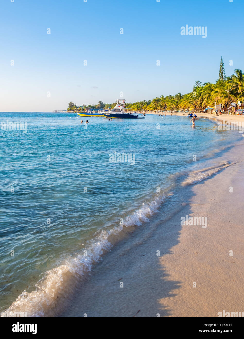 Vue sur plage de West Bay à Roatan Honduras au coucher du soleil en orientation portrait. Banque D'Images