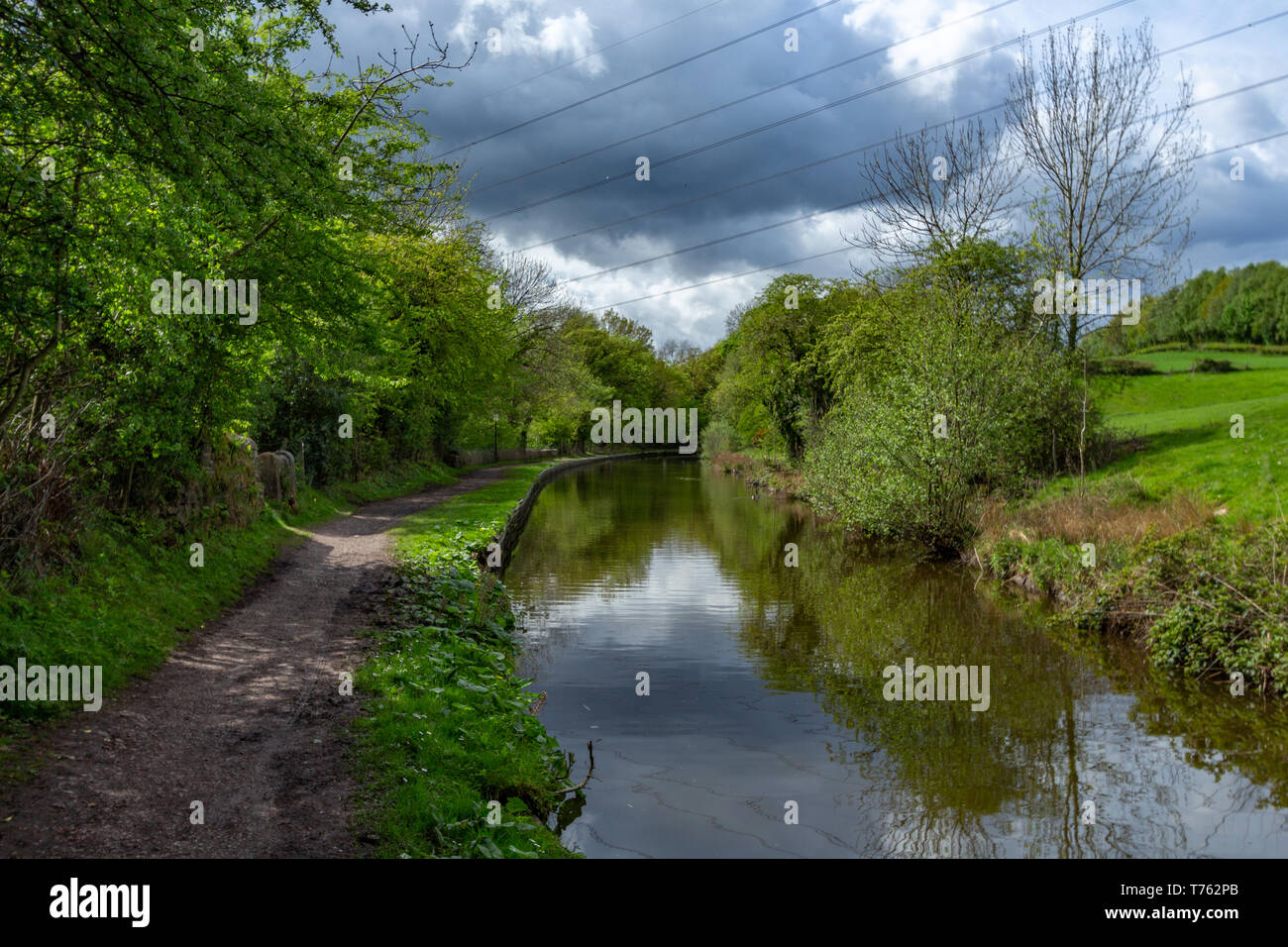 Le long du Canal, près de la forêt de Crête Marple, Cheshire, Royaume-Uni. Banque D'Images