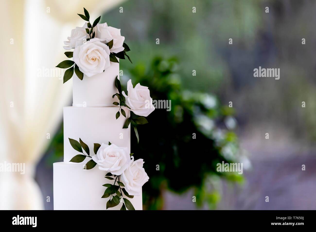 Close up of minimaliste élégant gâteau de mariage décoré avec des roses blanches sur une table dans un chapiteau d'été. Banque D'Images