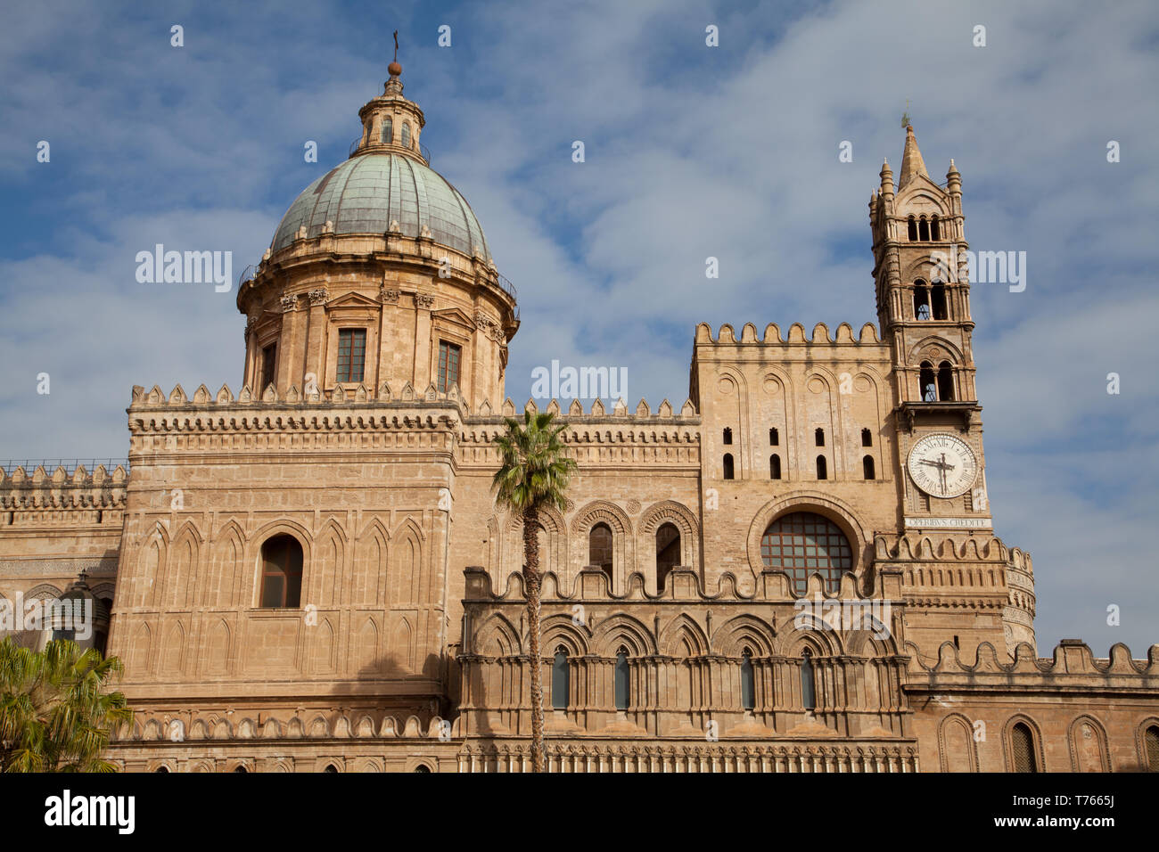 La cathédrale de Palerme, Palermo, Italie. Banque D'Images