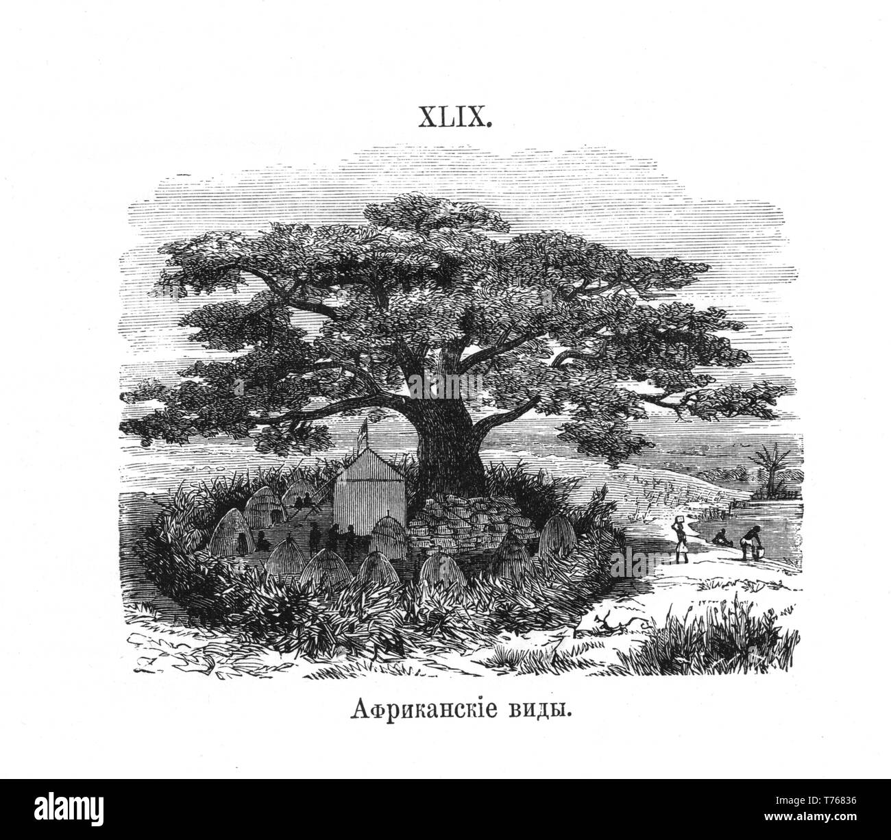 Les espèces de l'Afrique de l'illustration de Henry Morton Stanley's book comment j'ai trouvé Livingstone. La Russie, 1873 Banque D'Images