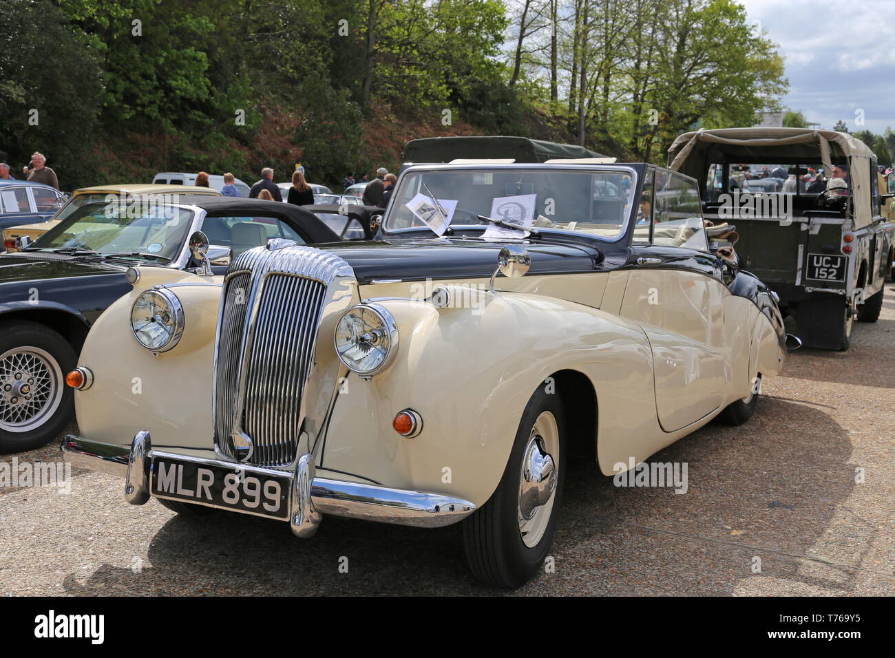 Daimler 2.5 Convertible Sport spécial (1951), British Marques jour, 28 avril 2019, Musée de Brooklands, Weybridge, Surrey, Angleterre, Grande-Bretagne, Royaume-Uni Banque D'Images