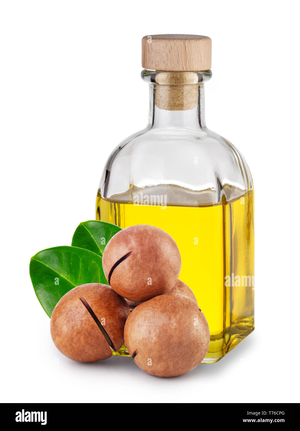 L'huile de macadamia dans une bouteille avec un bouchon de liège et les écrous avec des feuilles isolées sur fond blanc Banque D'Images