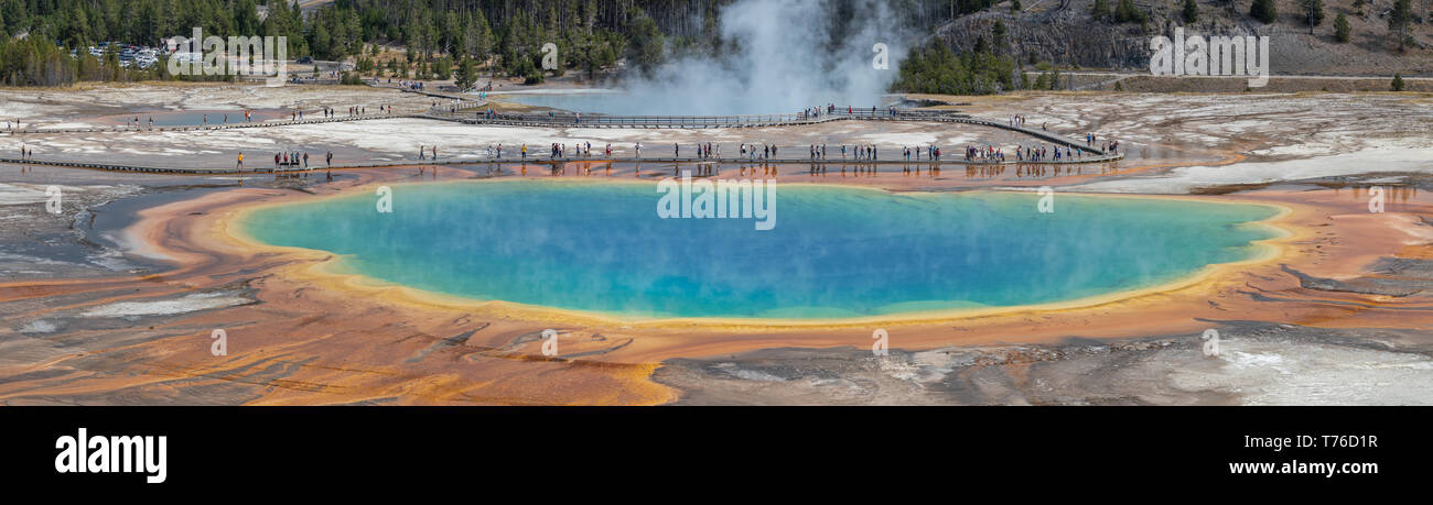 Grand Prismatic Spring, le Parc National de Yellowstone Banque D'Images