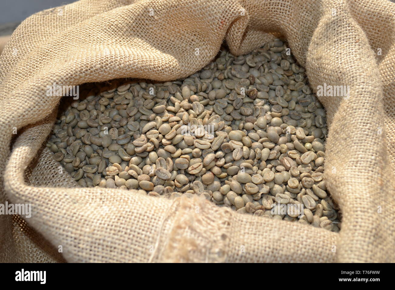Flocons de sécher le café vert dans un sac de toile de jute brut exposés à  la lumière du jour comme nourriture pour le commerce dans les légumes pour  les boissons et