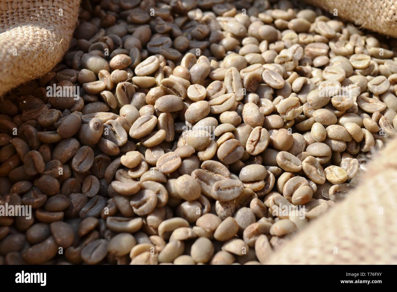 Burlap coffee bag Banque de photographies et d'images à haute résolution -  Alamy