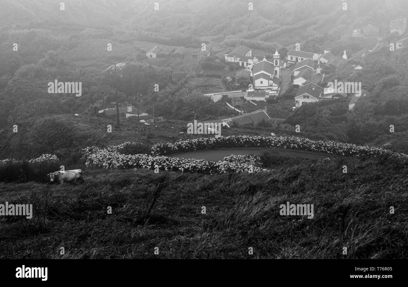 Vue en noir et blanc d'un matin brumeux à Lajedo de Flores aux Açores. Banque D'Images