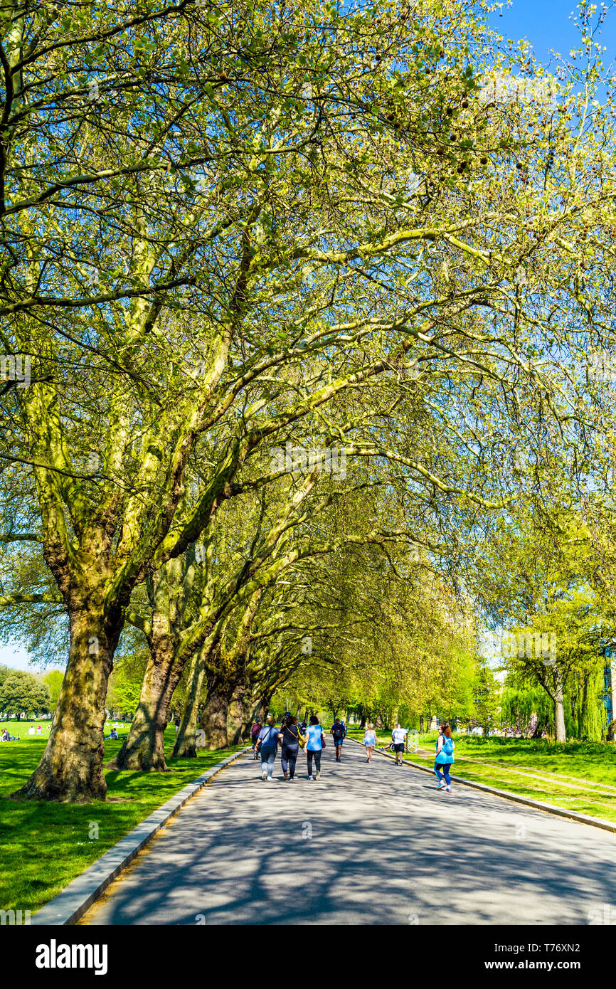 Chemin piétonnier bordé d'arbres dans le parc Victoria, London, UK Banque D'Images