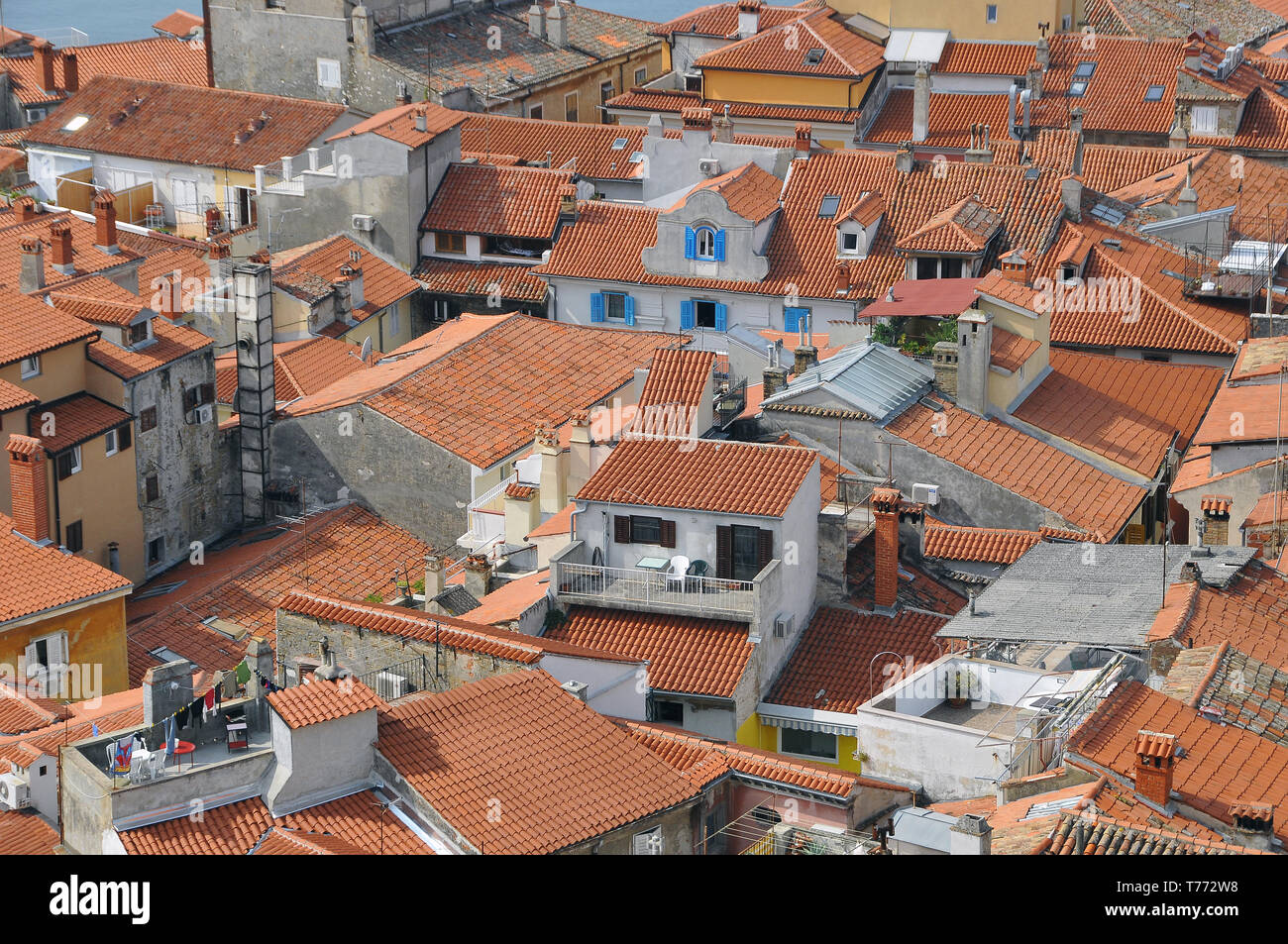 Avis de Piran, Slovénie, Piran látképe Banque D'Images