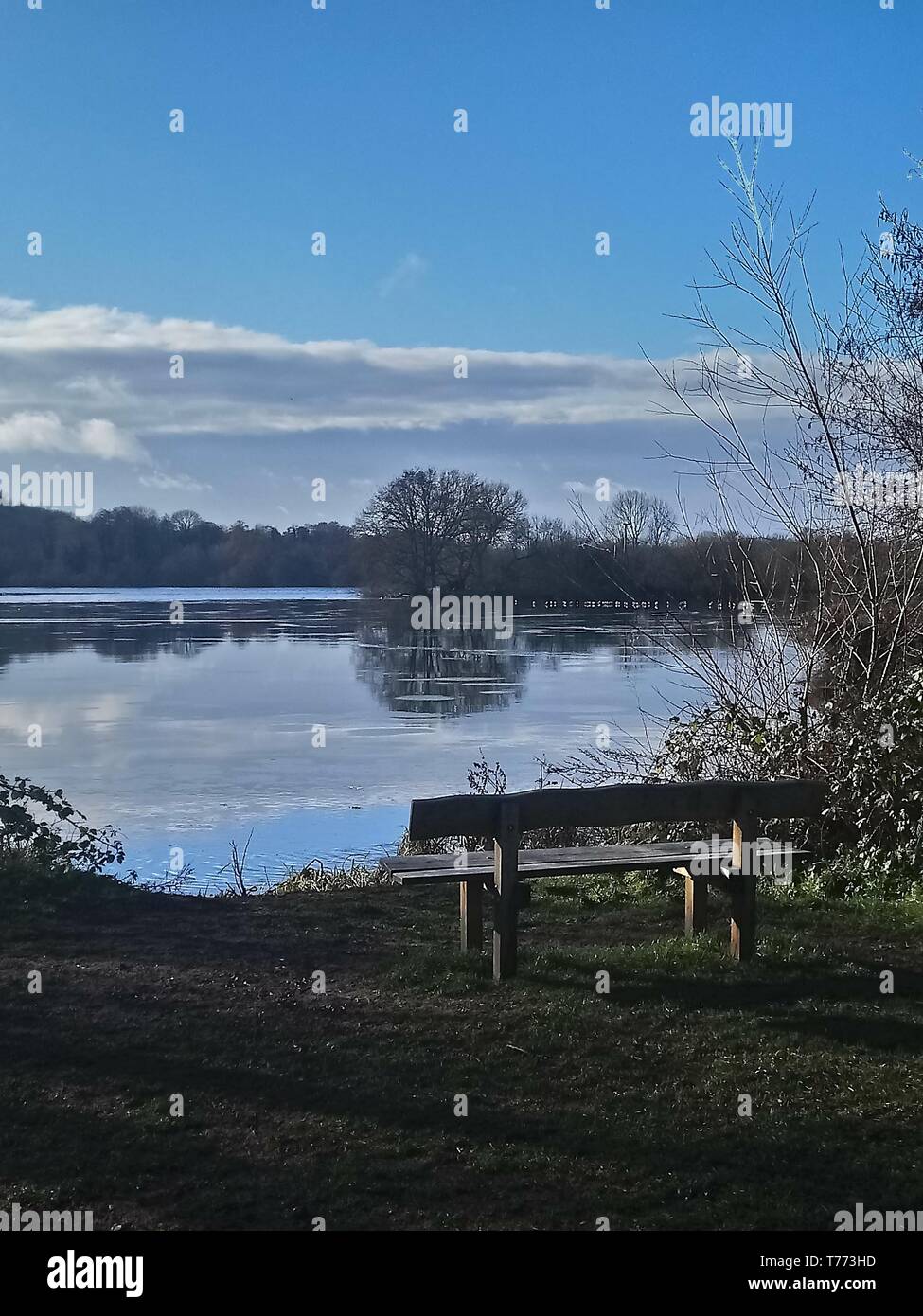 Banc au bord du lac Banque D'Images