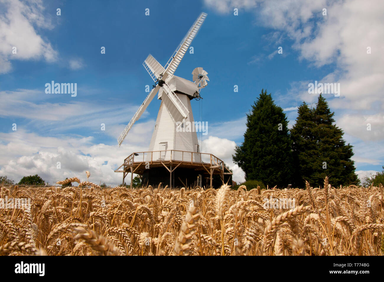 Le moulin à vent restauré Woodchurch smock, Kent, Angleterre Banque D'Images