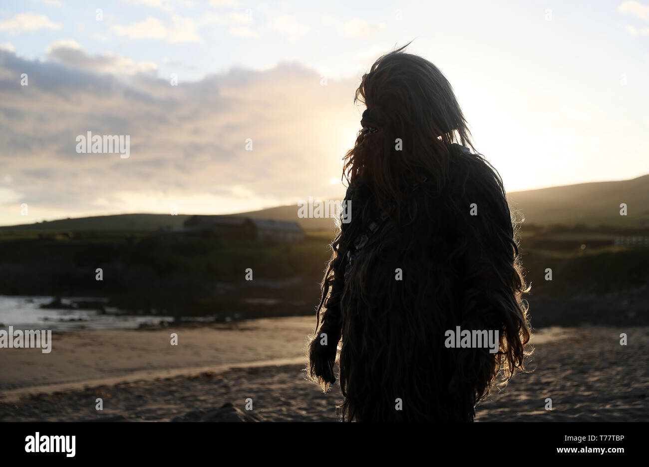 Un fan de Star Wars habillé que Chewbacca sur Saint Finian's Bay, Kerry, surplombant le Skellig Islands, lors de la la 4e Festival à Portmagee, où des scènes de Star Wars ont été filmés. Banque D'Images