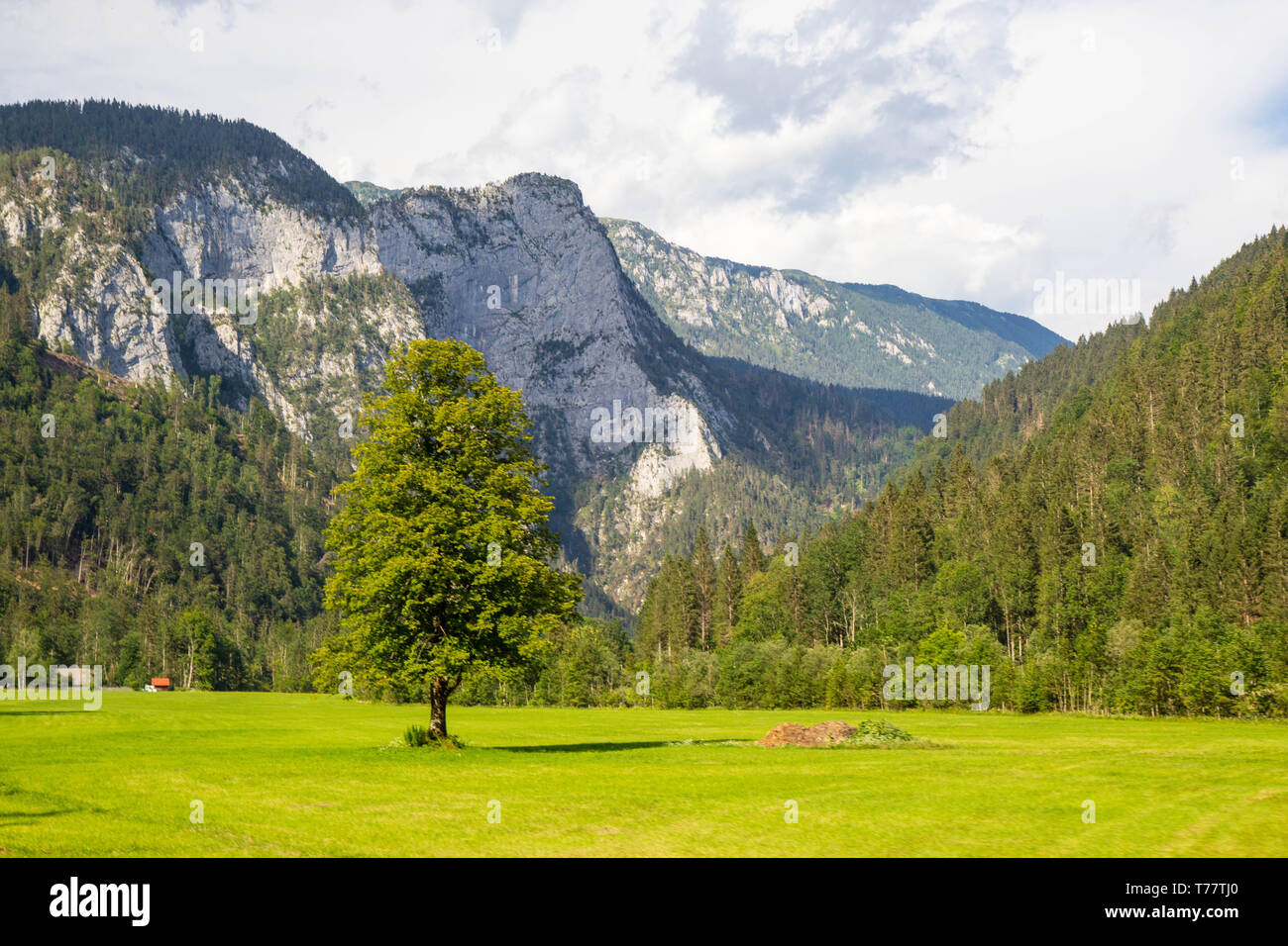 Vue d'été de la vallée de Logar dans Kamnik Montagnes, Slovénie Banque D'Images