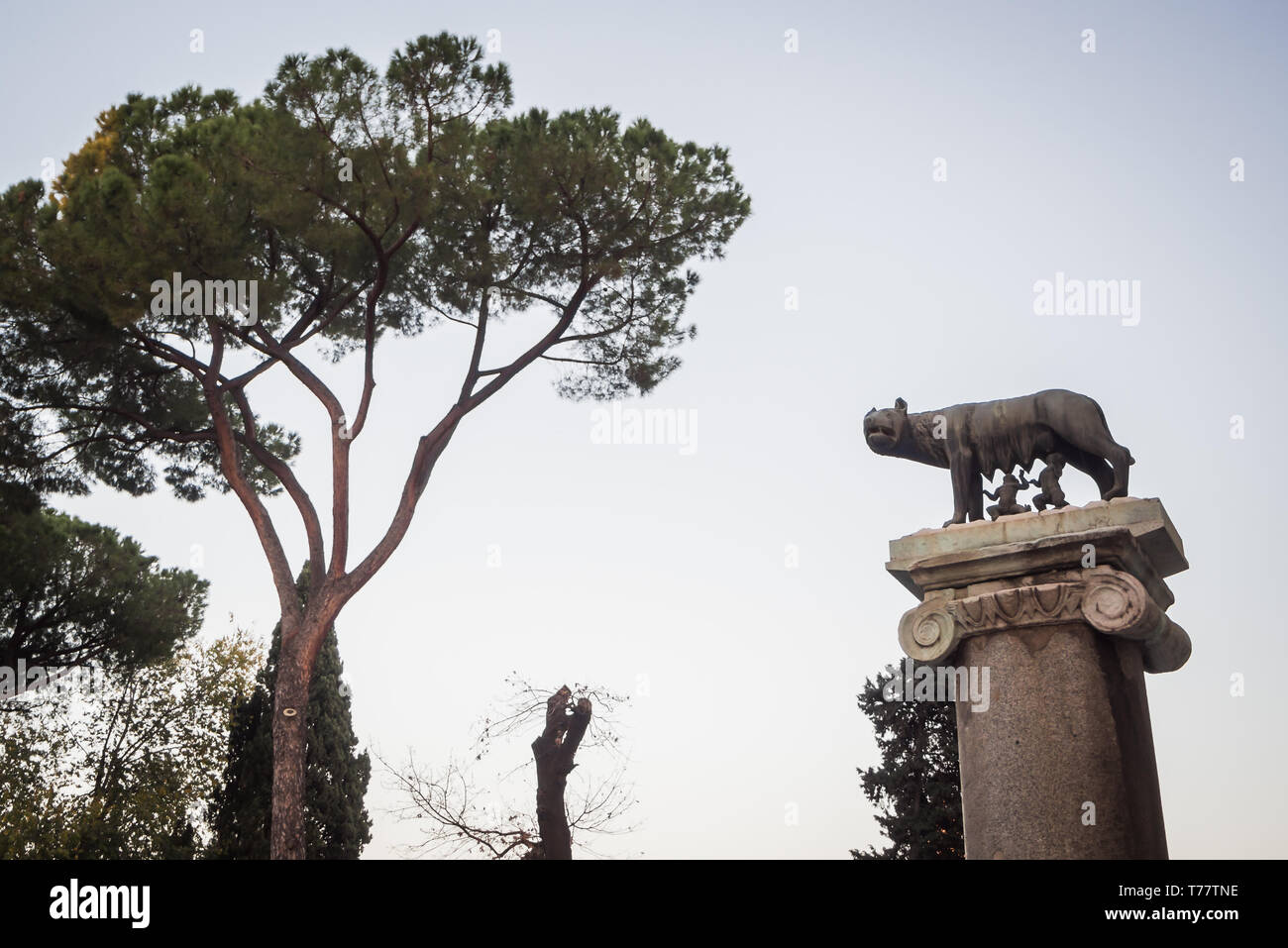 Statue de la légende de Romulus et Remus alimenté par le loup à Rome Italie Banque D'Images