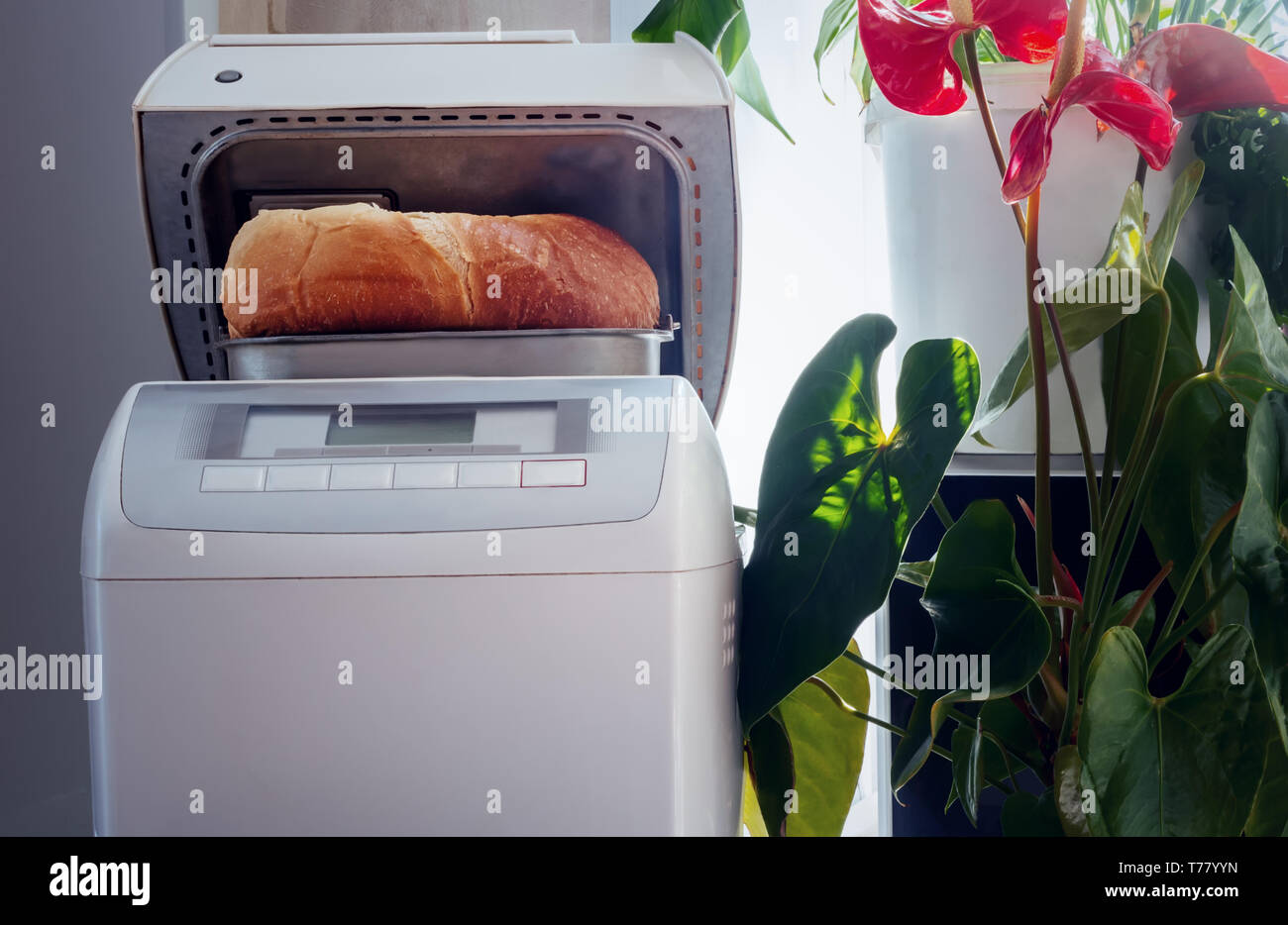 Electroménager : four électrique pour la cuisson du pain à la maison. Le pain blanc cuit dans elle. Banque D'Images