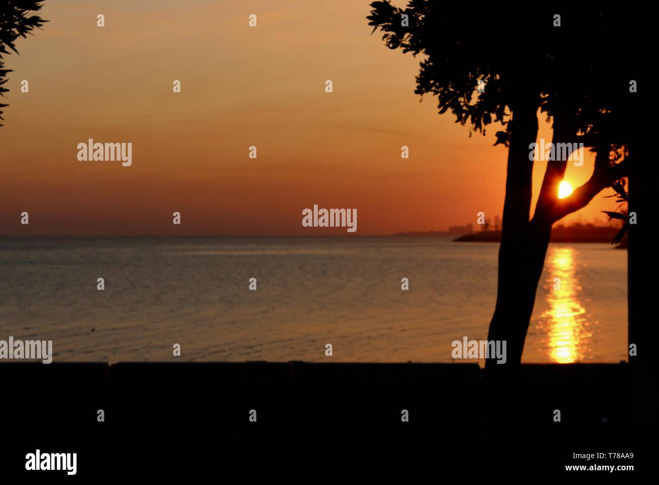 Le soleil levant Banque D'Images